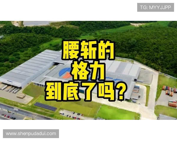 涓栦勘鏉叓寮烘牸灞€鎻檽锛氭闄嗕簲寮虹伀鎷煎崡缇庡弻闆勶紝浜氭床榛戦┈鏀瑰啓鍘嗗彶